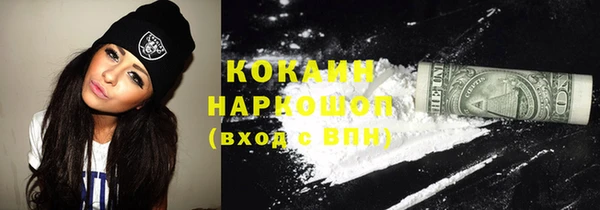ПСИЛОЦИБИНОВЫЕ ГРИБЫ Инта