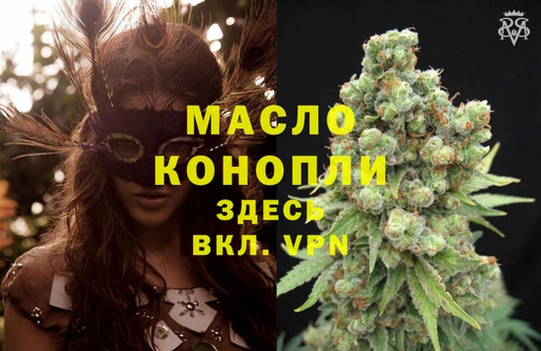ПСИЛОЦИБИНОВЫЕ ГРИБЫ Инта
