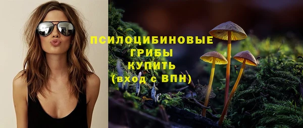 Альфа ПВП Зерноград
