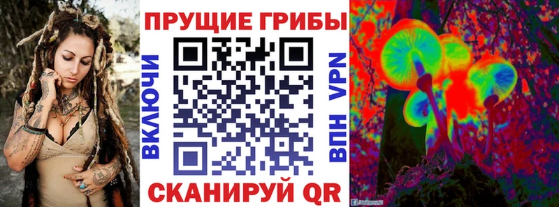 Купить  Долинск  Псилоцибиновые грибы мухоморы 
